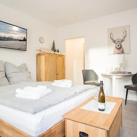 Deluxe - Center - 5 Min To Slopes - Am Kurpark - Free Parking * Winterberg