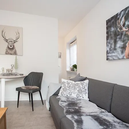 Deluxe - Center - 5 Min To Slopes - Am Kurpark - Free Parking * Winterberg