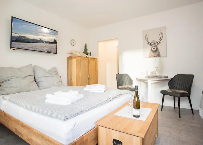 Deluxe - Center - 5 Min To Slopes - Am Kurpark - Free Parking * Winterberg