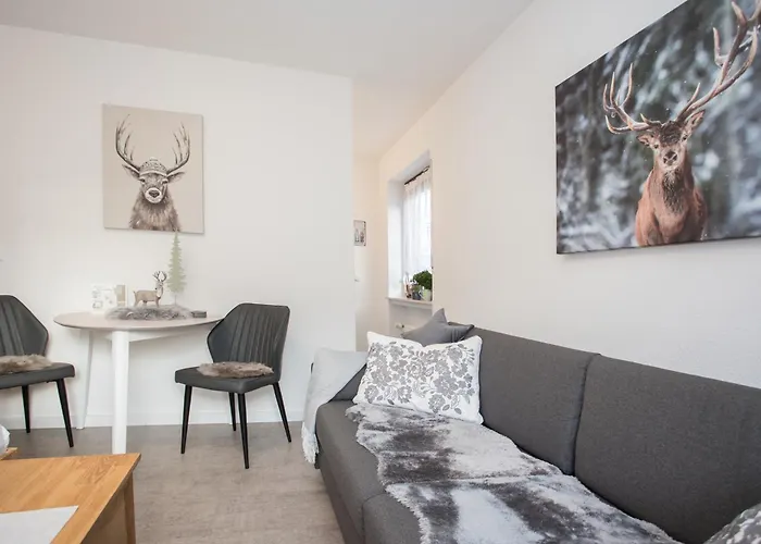 Deluxe - Center - 5 Min To Slopes - Am Kurpark - Free Parking * Winterberg